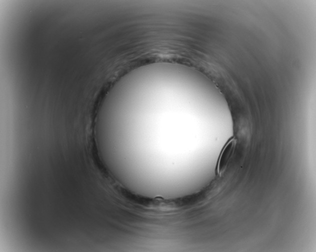 X0000089750559200706210926