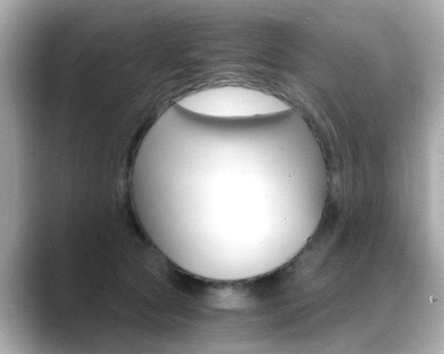 X0000089750561200706210926