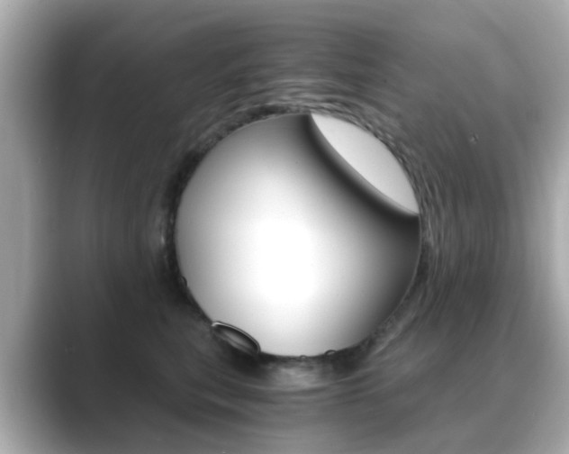 X0000089750567200706210926
