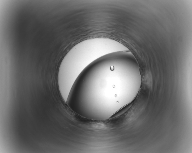 X0000089750572200706210926