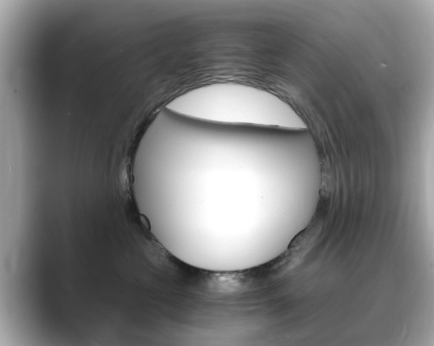 X0000089750573200706210926
