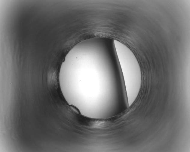 X0000089750575200706210926