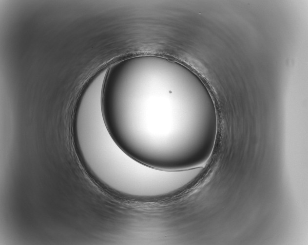 X0000089750577200706210926