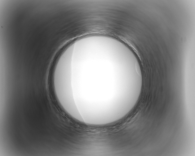 X0000089750579200706210926