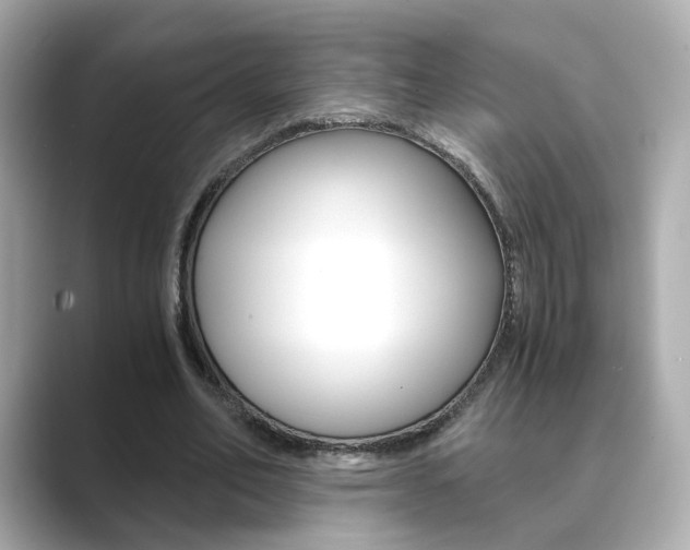 X0000089750582200706210926