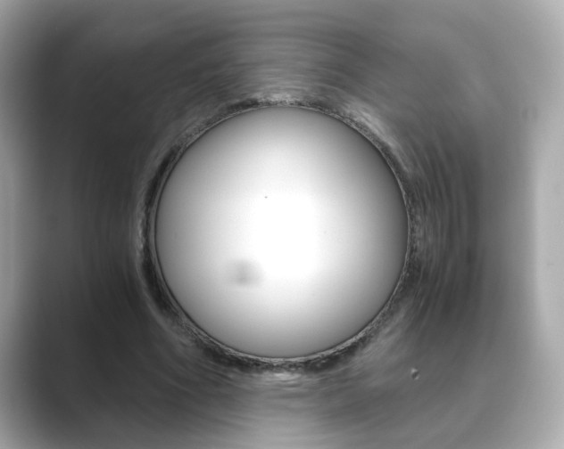 X0000089750586200706210925