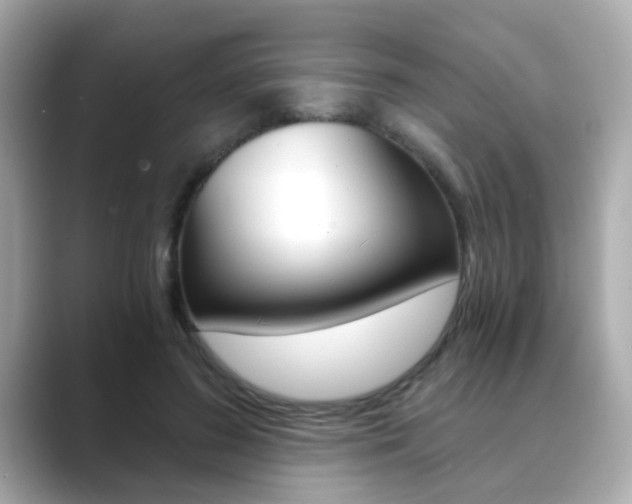 X0000089750596200706210925