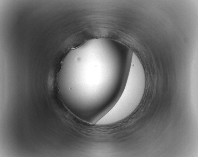 X0000089750600200706210925