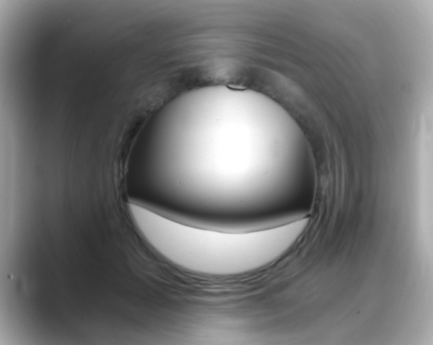 X0000089750605200706210925