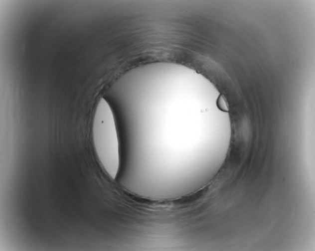 X0000089750606200706210925