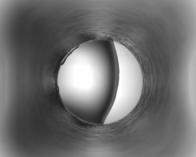 X0000089750613200706210925