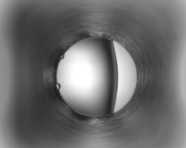 X0000089750616200706210925