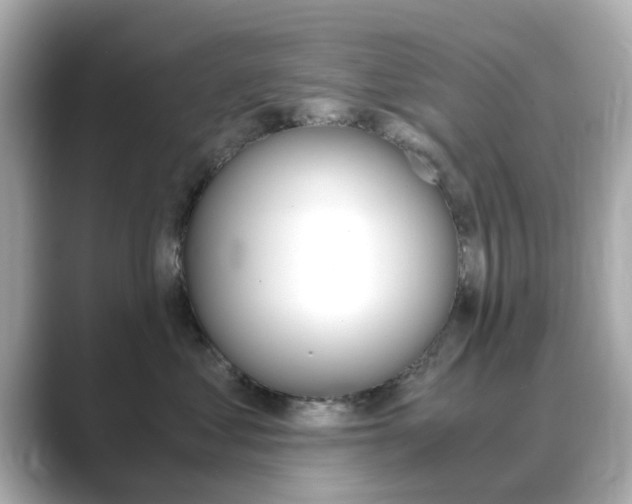 X0000089750621200706210925