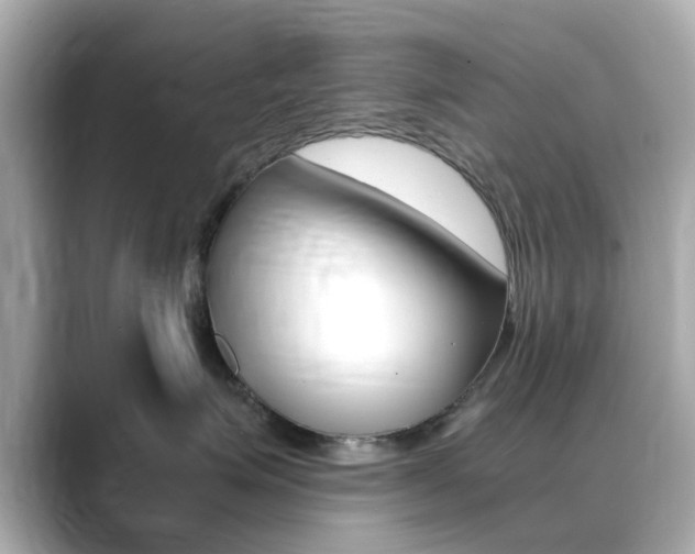 X0000089750623200706210925