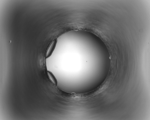 X0000089750624200706210925