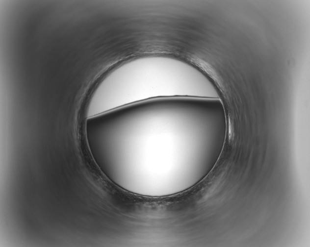 X0000089750627200706210924