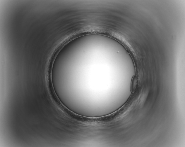 X0000089750629200706210924