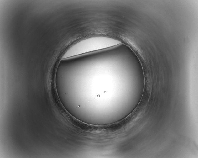 X0000089750631200706210924