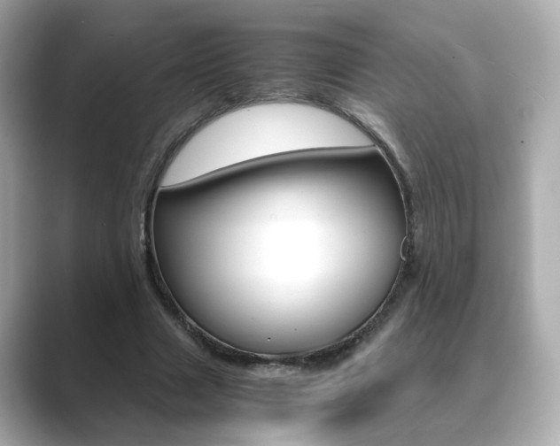 X0000089750633200706210924