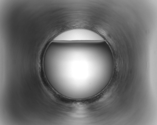 X0000089750634200706210924