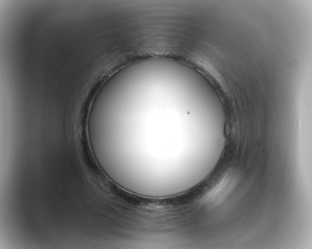 X0000089750635200706210924