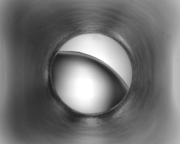 X0000089750637200706210925