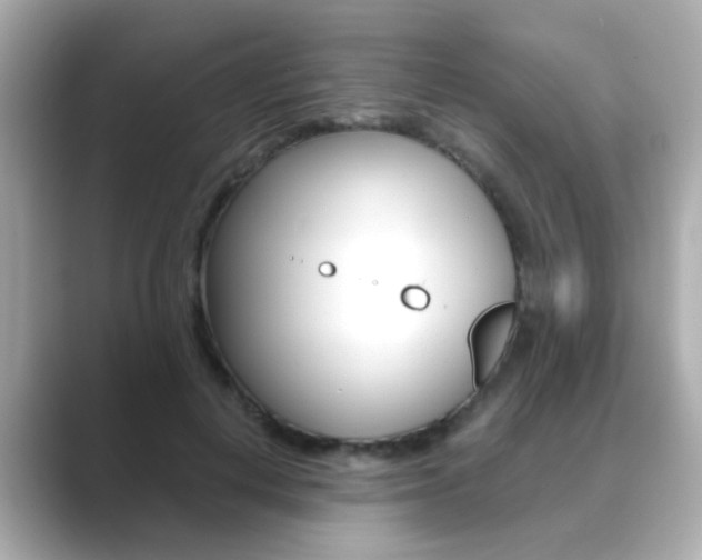 X0000089750648200706210925