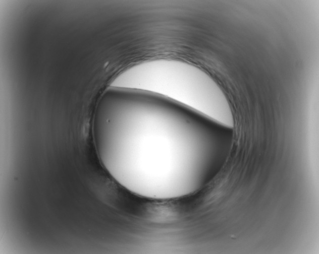 X0000089750652200706210925