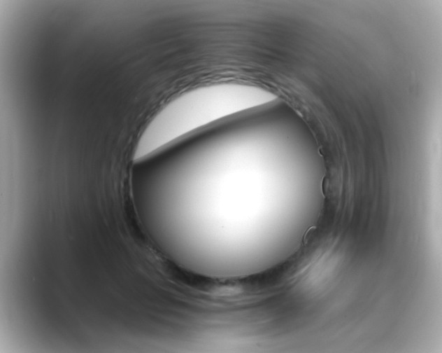 X0000089750653200706210925
