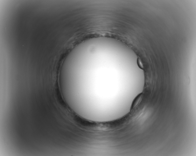 X0000089750656200706210925