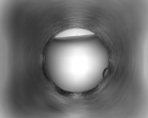 X0000089750660200706210925