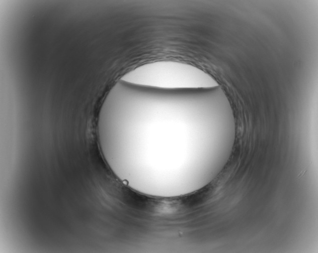 X0000089750663200706210925