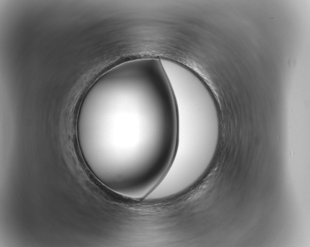 X0000089750673200706210924