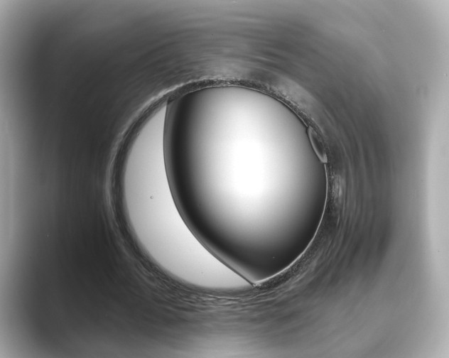 X0000089750676200706210924
