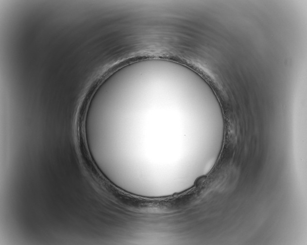 X0000089750678200706210924