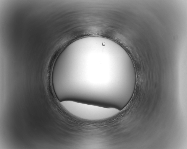 X0000089750679200706210924