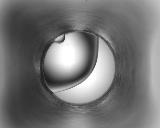 X0000089750681200706210924