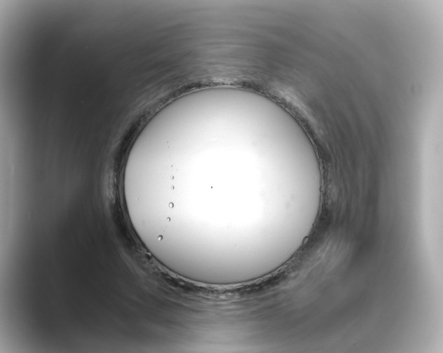 X0000089750683200706210924