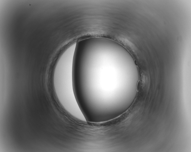 X0000089750684200706210924