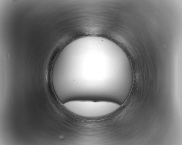 X0000089750686200706210924