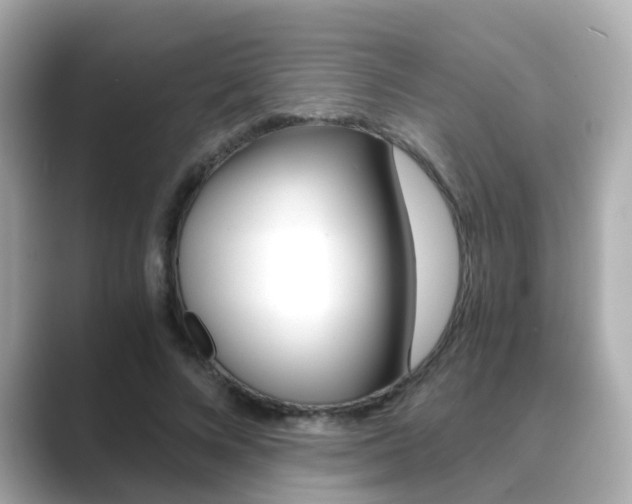 X0000089750688200706210924