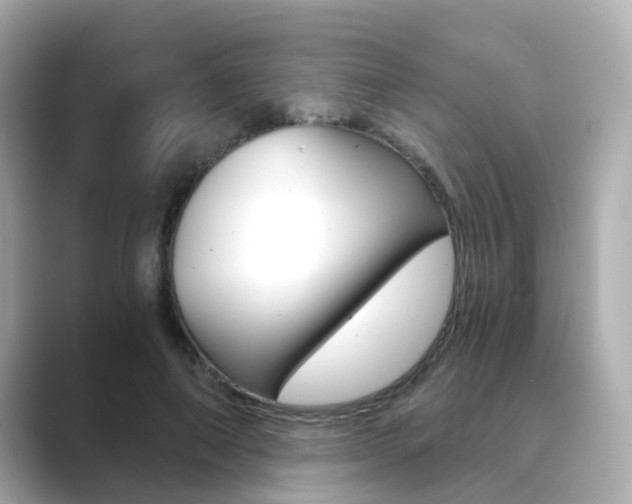 X0000089750690200706210924