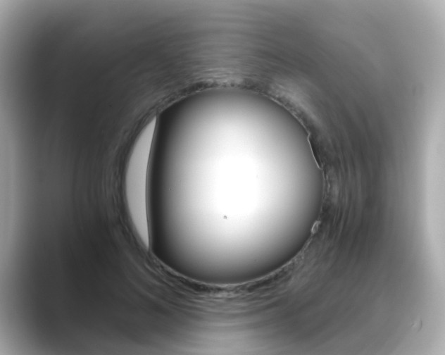 X0000089750692200706210924