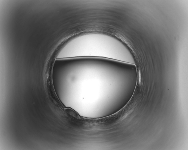 X0000089750723200706210923