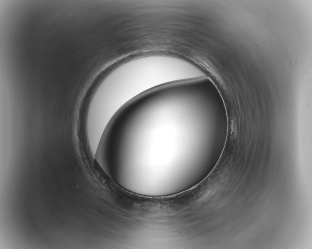 X0000089750724200706210923