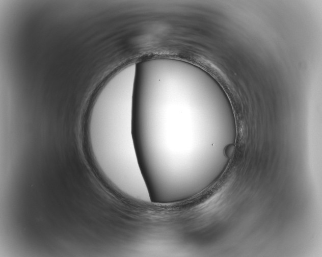 X0000089750725200706210923