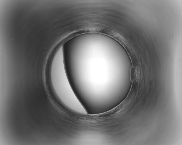 X0000089750726200706210923