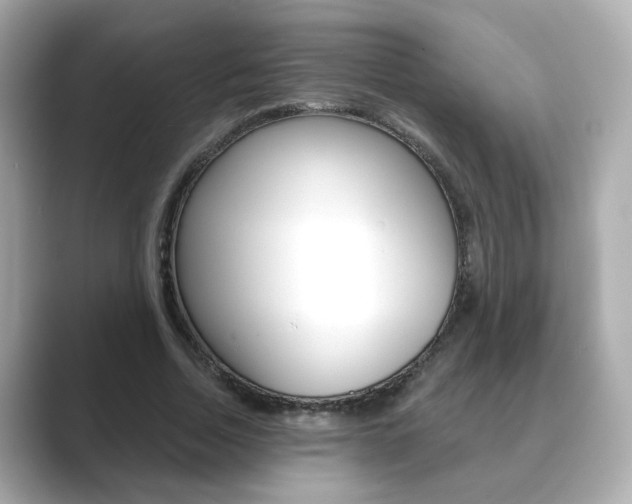 X0000089750730200706210923