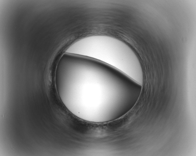 X0000089750731200706210923