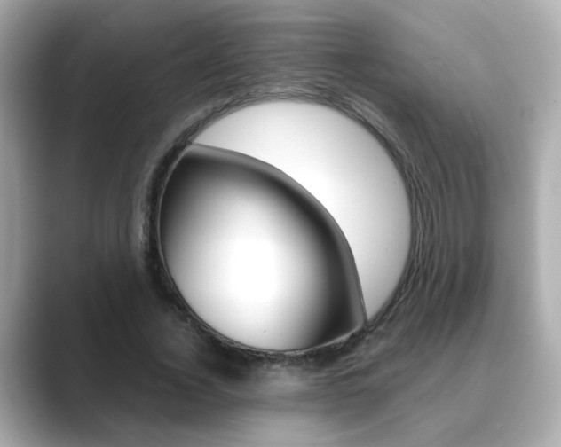 X0000089750732200706210923